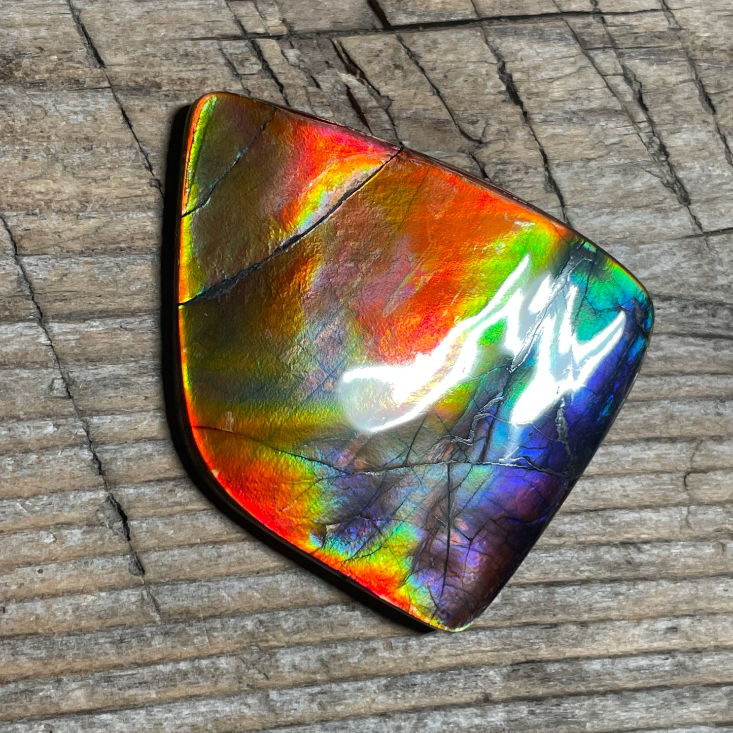 Collector's Special! Rare Pink Polished Ammolite Freeform Cabochon, Genuine Alberta Ammonite Gemstone