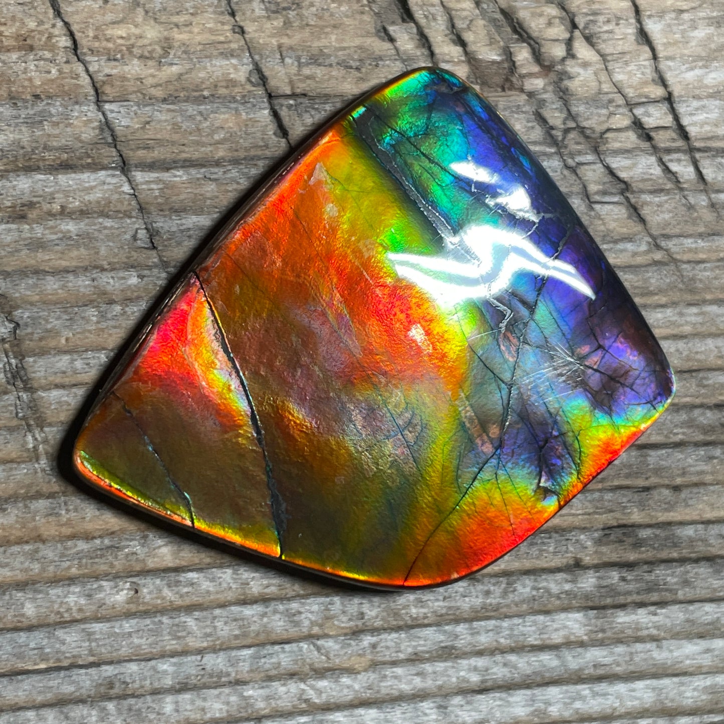 Collector's Special! Rare Pink Polished Ammolite Freeform Cabochon, Genuine Alberta Ammonite Gemstone