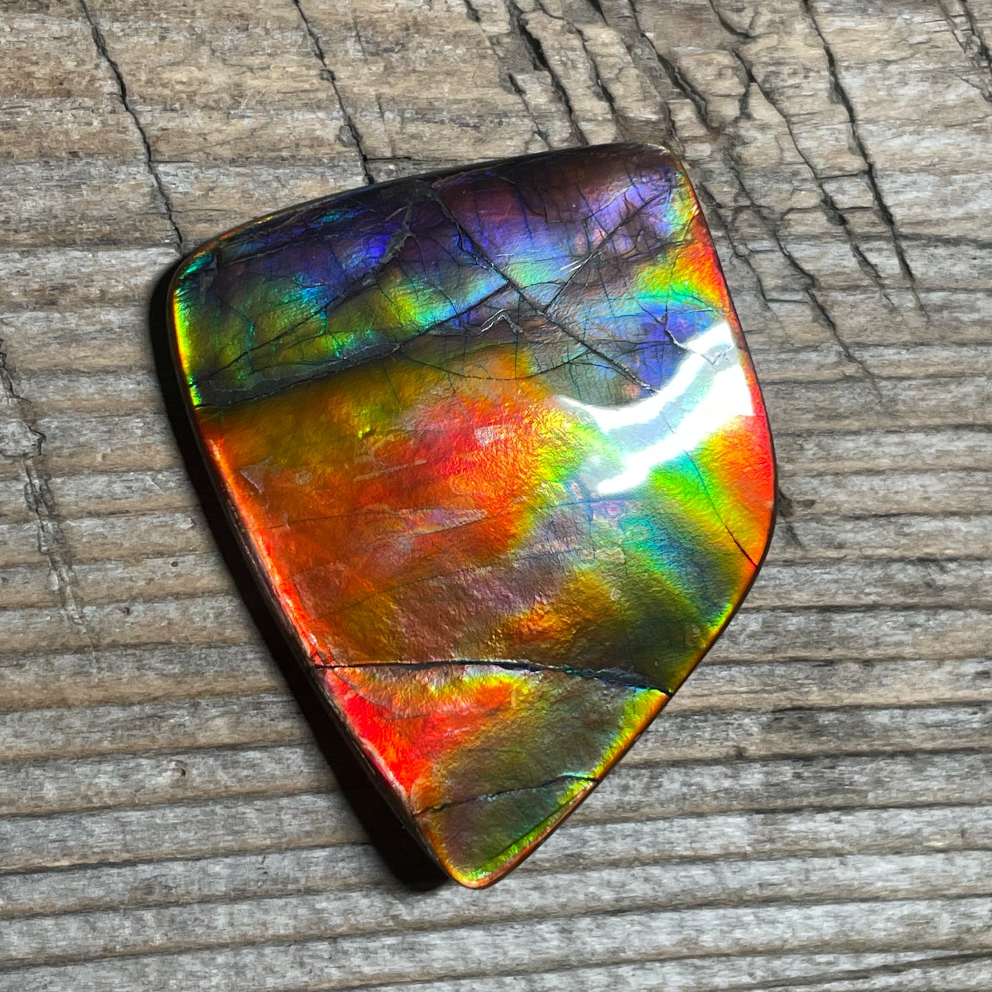 Collector's Special! Rare Pink Polished Ammolite Freeform Cabochon, Genuine Alberta Ammonite Gemstone