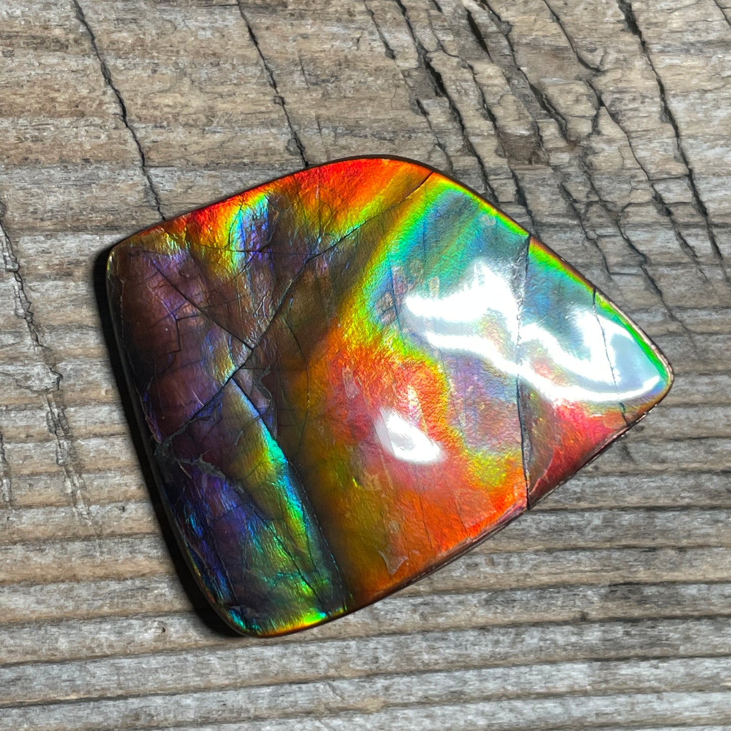 Collector's Special! Rare Pink Polished Ammolite Freeform Cabochon, Genuine Alberta Ammonite Gemstone