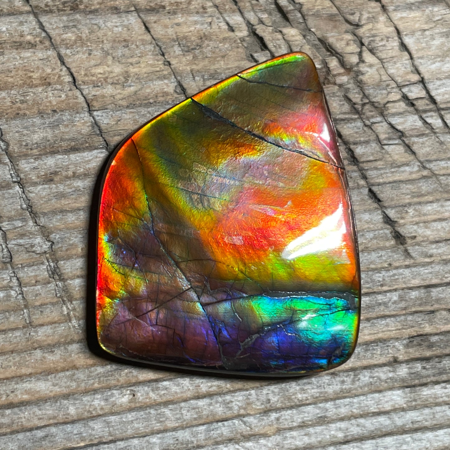 Collector's Special! Rare Pink Polished Ammolite Freeform Cabochon, Genuine Alberta Ammonite Gemstone