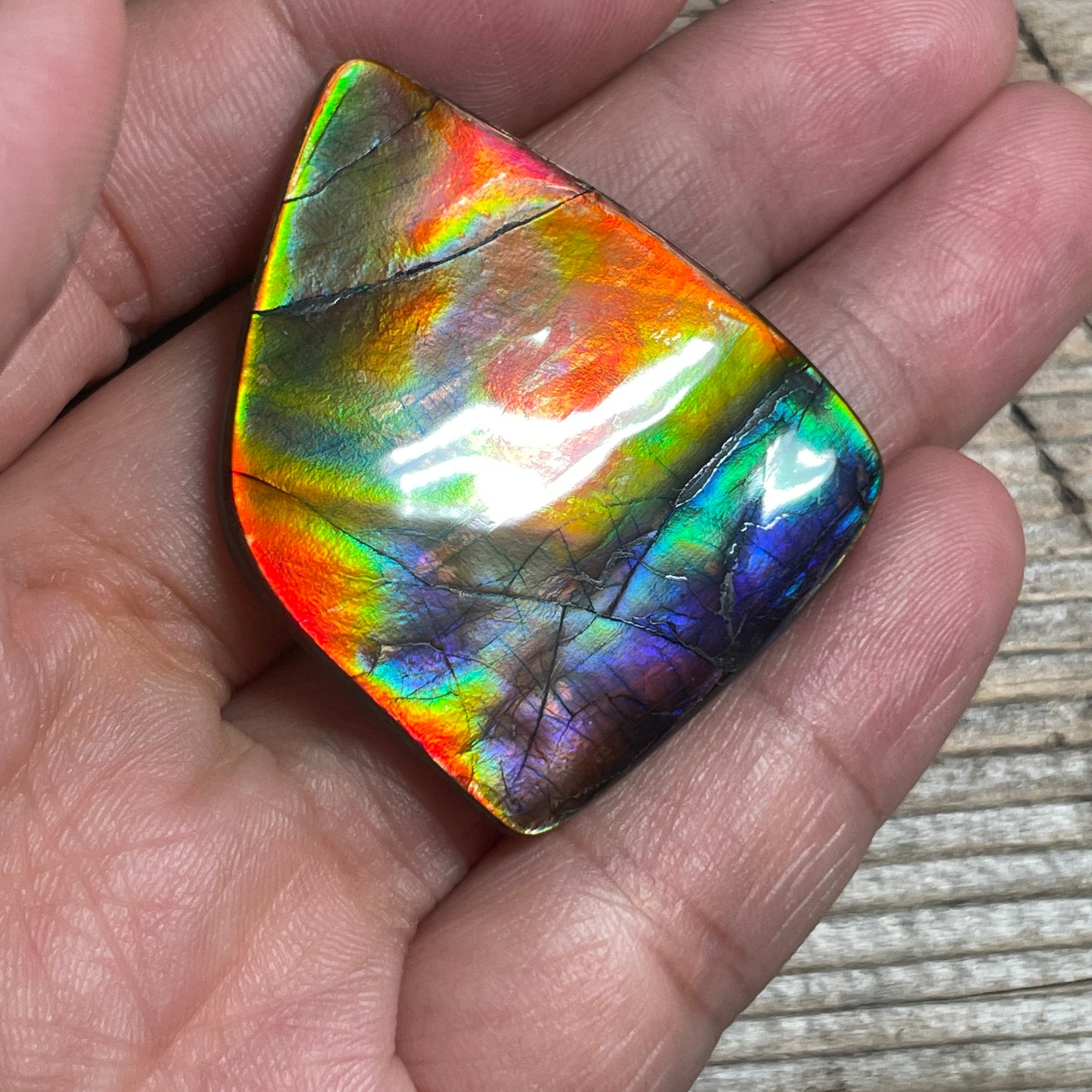 Collector's Special! Rare Pink Polished Ammolite Freeform Cabochon, Genuine Alberta Ammonite Gemstone