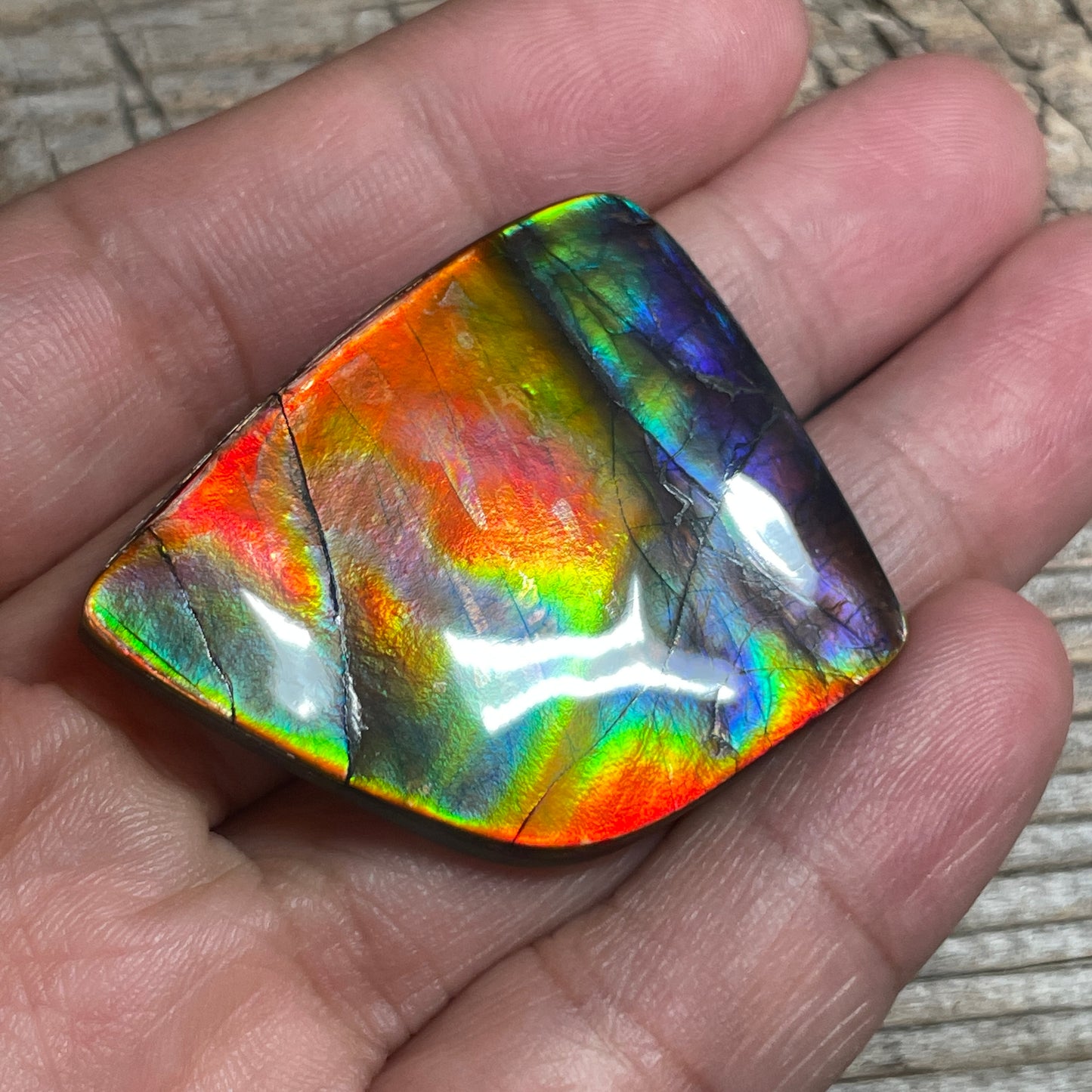 Collector's Special! Rare Pink Polished Ammolite Freeform Cabochon, Genuine Alberta Ammonite Gemstone