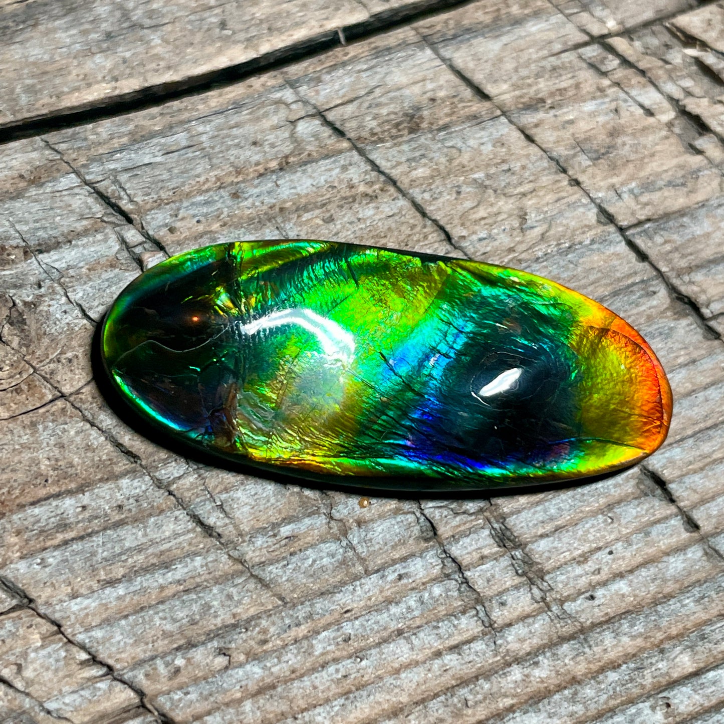 Polished Multicoloured Ammolite Cabochon with 2 horns, dragon balls, Feng Shui (Copy)