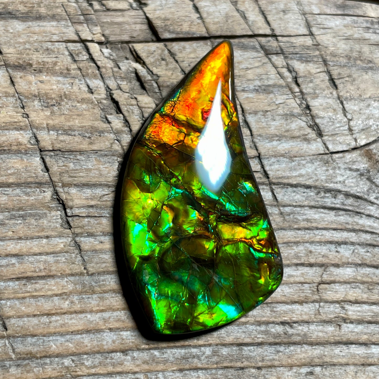 Bright Ammolite Cabochon, Genuine Canadian Ammonite Fossil Jewelry