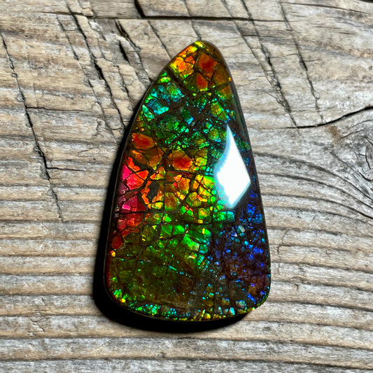 Rainbow Ammolite Gemstone, Freeform Cabochon, Dragon Skin Pattern