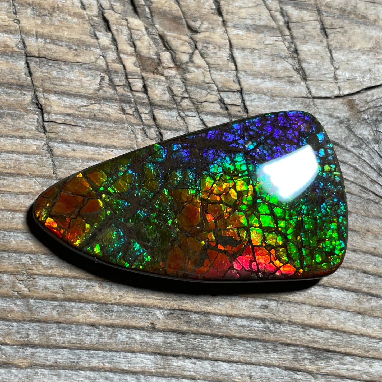 Rainbow Ammolite Gemstone, Freeform Cabochon, Dragon Skin Pattern