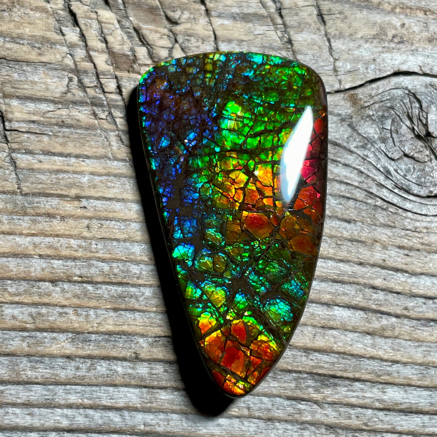 Rainbow Ammolite Gemstone, Freeform Cabochon, Dragon Skin Pattern