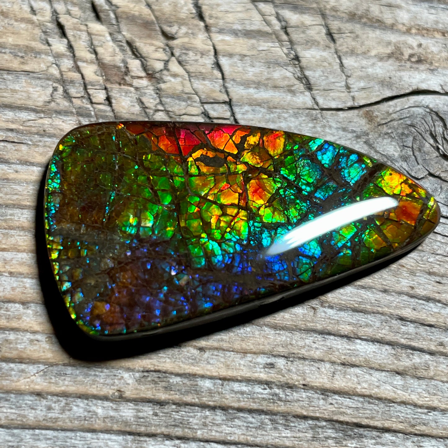 Rainbow Ammolite Gemstone, Freeform Cabochon, Dragon Skin Pattern