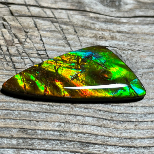 Multicoloured Ammolite Cabochon with 2 horns, dragon balls, Feng Shui