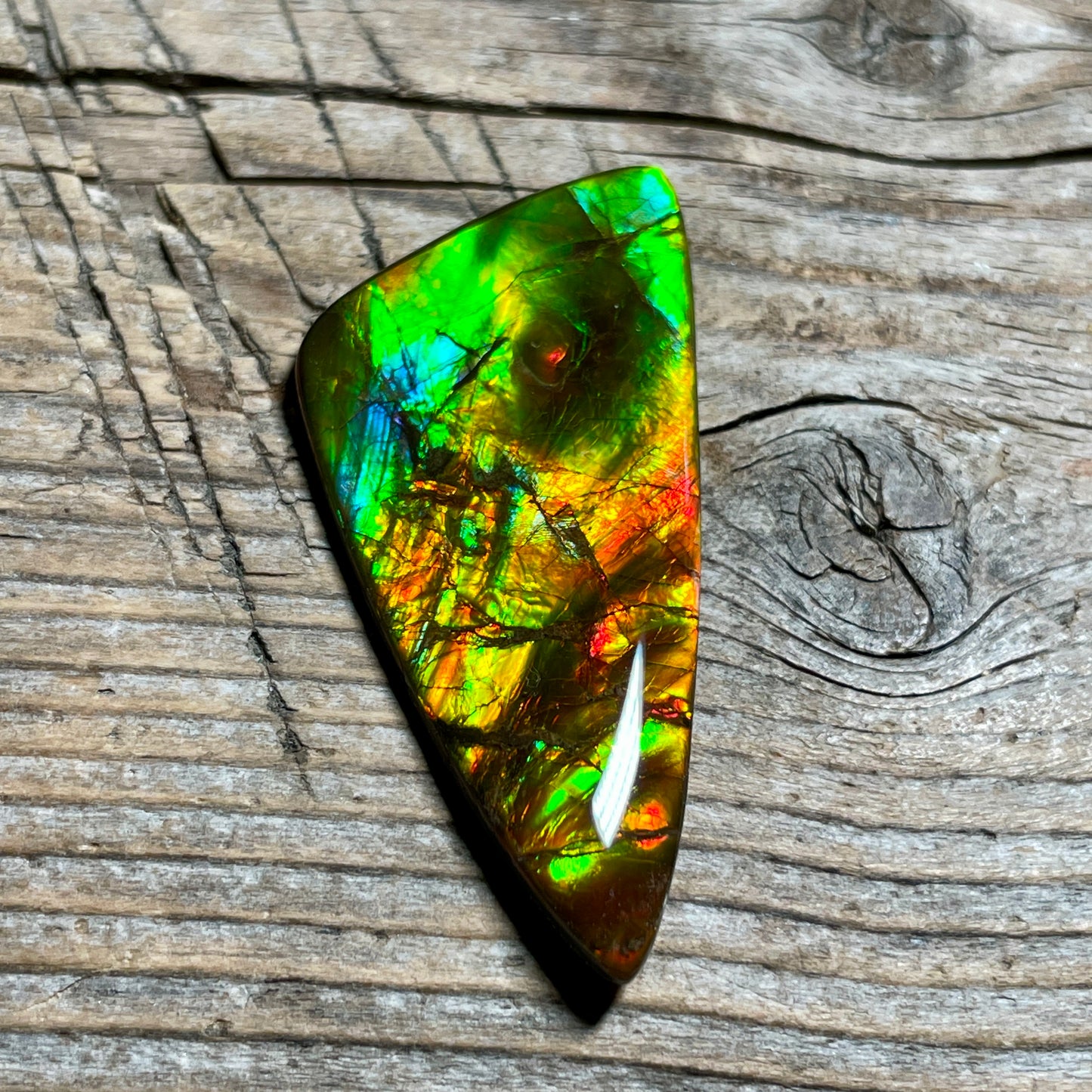 Multicoloured Ammolite Cabochon with 2 horns, dragon balls, Feng Shui