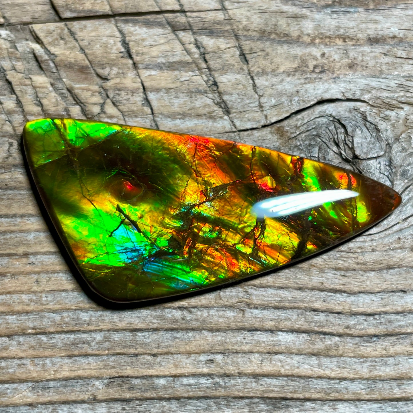 Multicoloured Ammolite Cabochon with 2 horns, dragon balls, Feng Shui