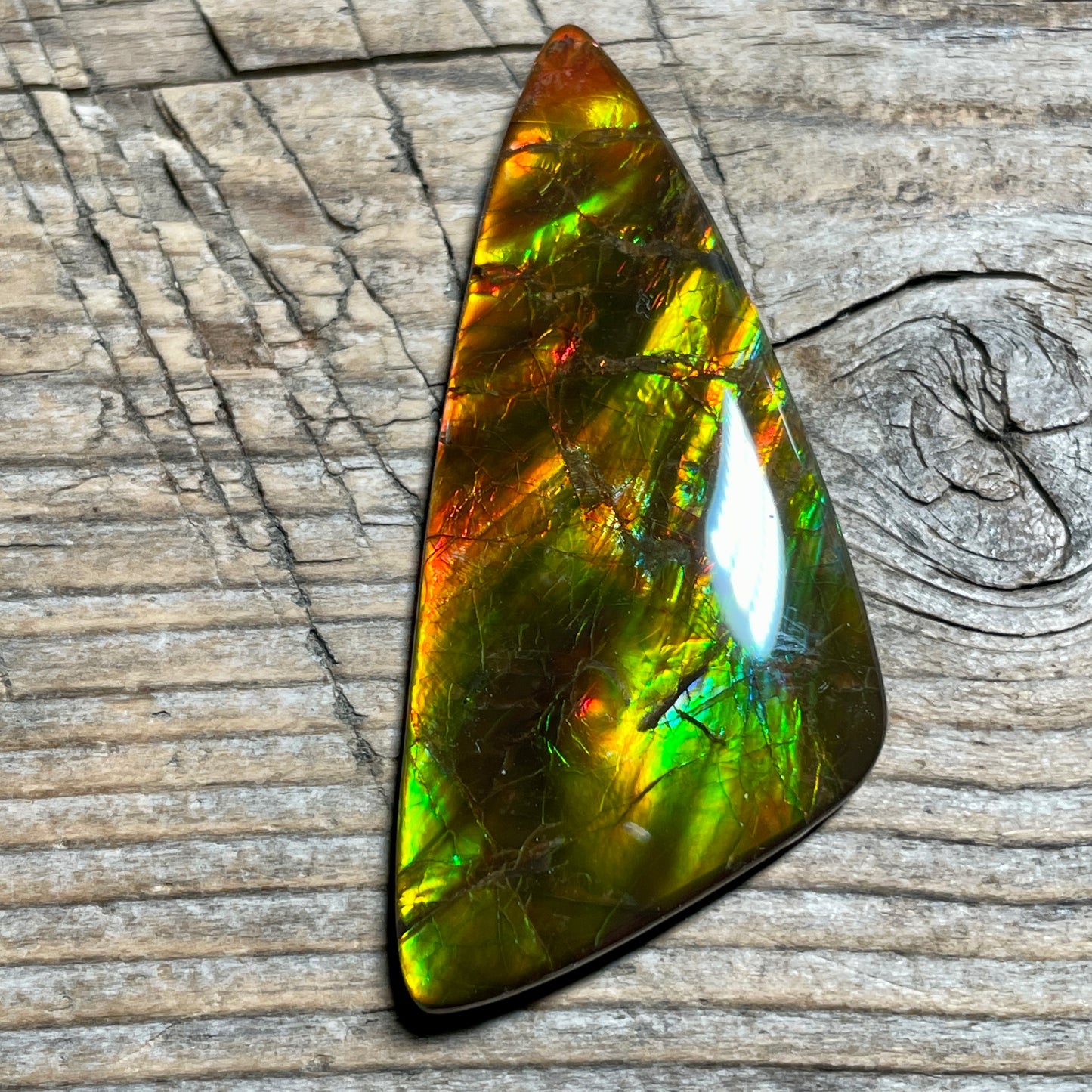 Multicoloured Ammolite Cabochon with 2 horns, dragon balls, Feng Shui