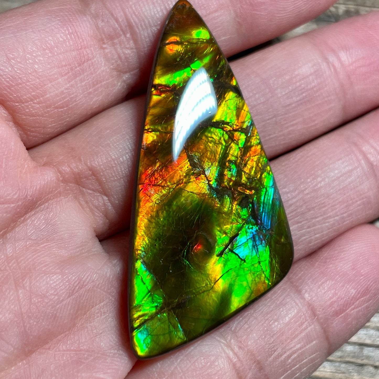 Multicoloured Ammolite Cabochon with 2 horns, dragon balls, Feng Shui