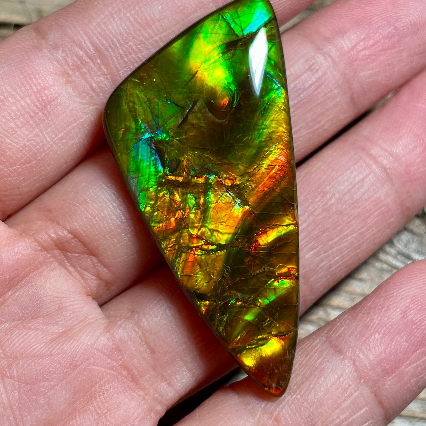 Multicoloured Ammolite Cabochon with 2 horns, dragon balls, Feng Shui