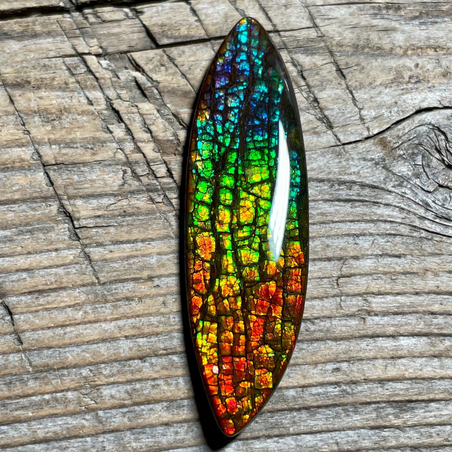 Rainbow Ammolite Gemstone, Freeform Cabochon, Dragon Skin Pattern