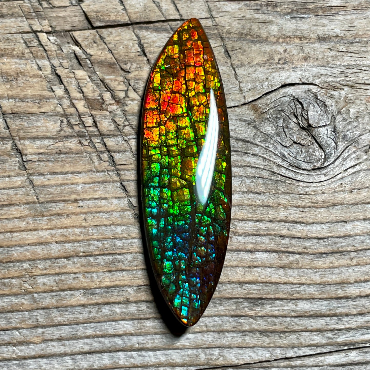 Rainbow Ammolite Gemstone, Freeform Cabochon, Dragon Skin Pattern