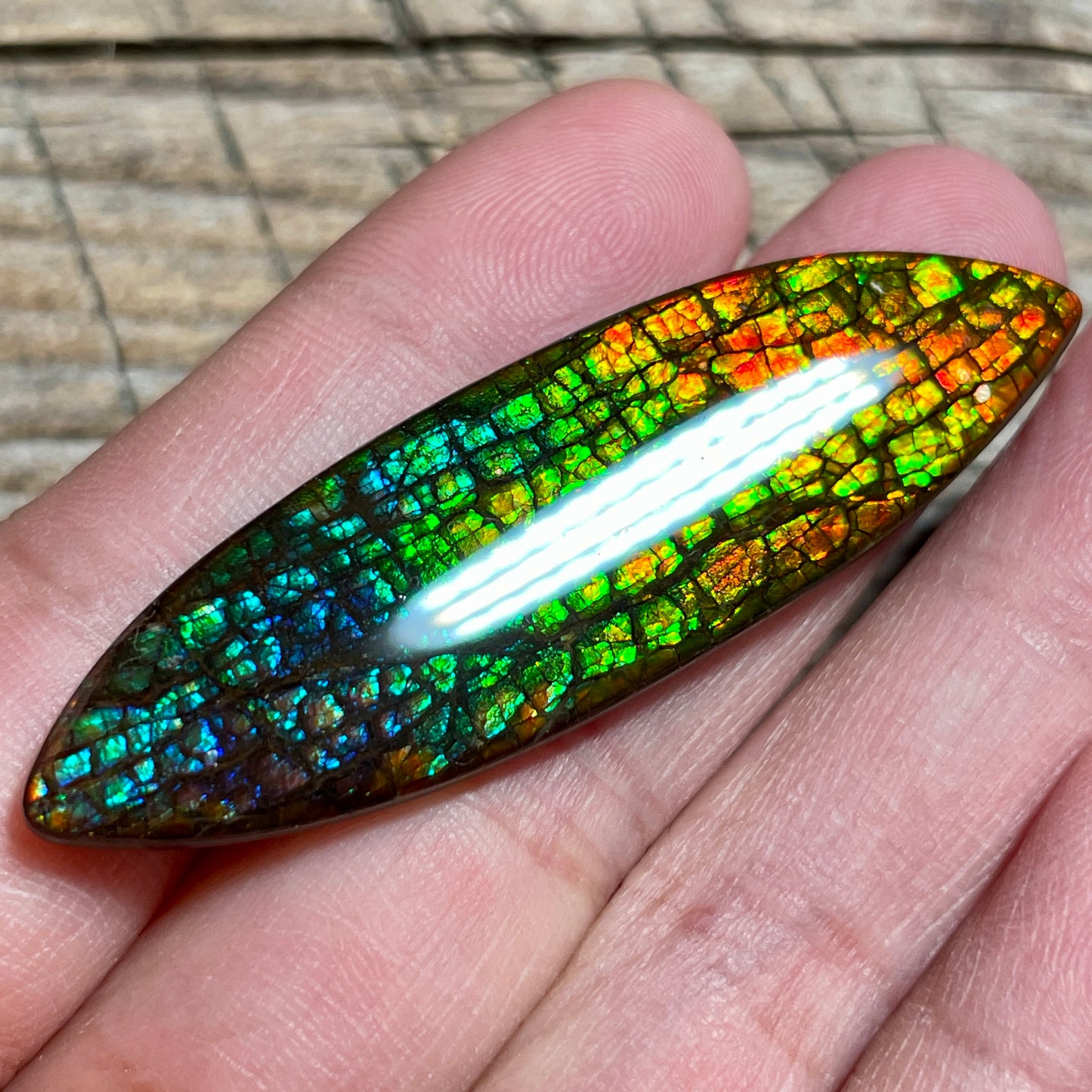 Rainbow Ammolite Gemstone, Freeform Cabochon, Dragon Skin Pattern