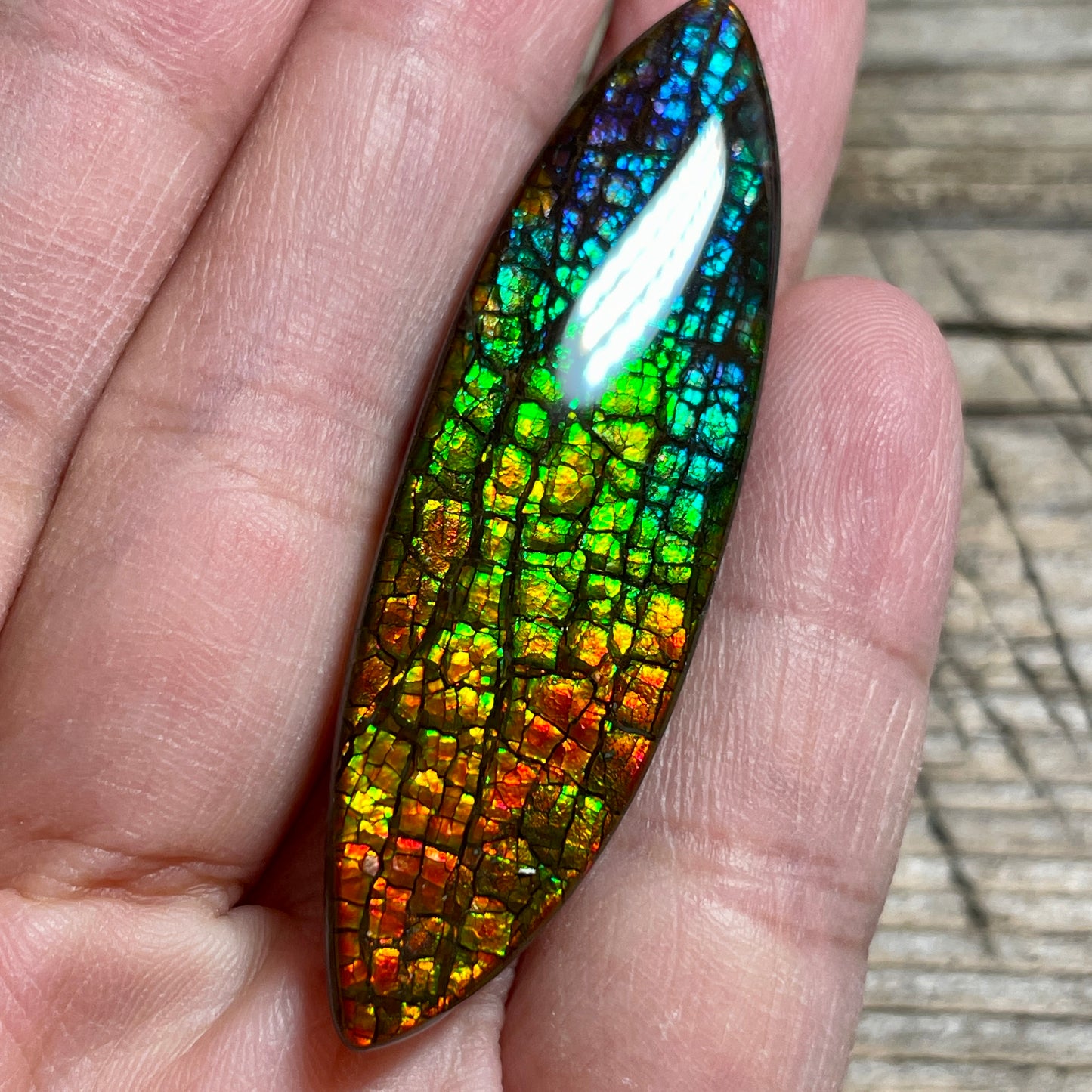 Rainbow Ammolite Gemstone, Freeform Cabochon, Dragon Skin Pattern