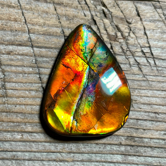 Multicoloured Pink Ammolite Gemstone, Freeform Cabochon, Canadian Ammonite Fossil