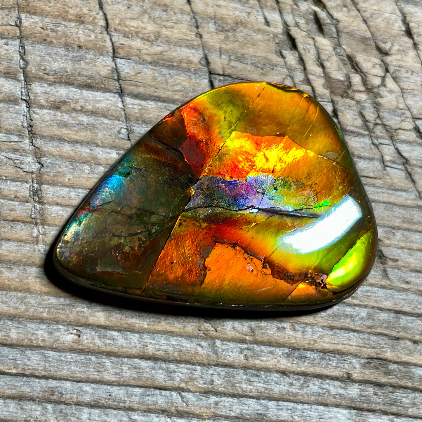 Multicoloured Pink Ammolite Gemstone, Freeform Cabochon, Canadian Ammonite Fossil