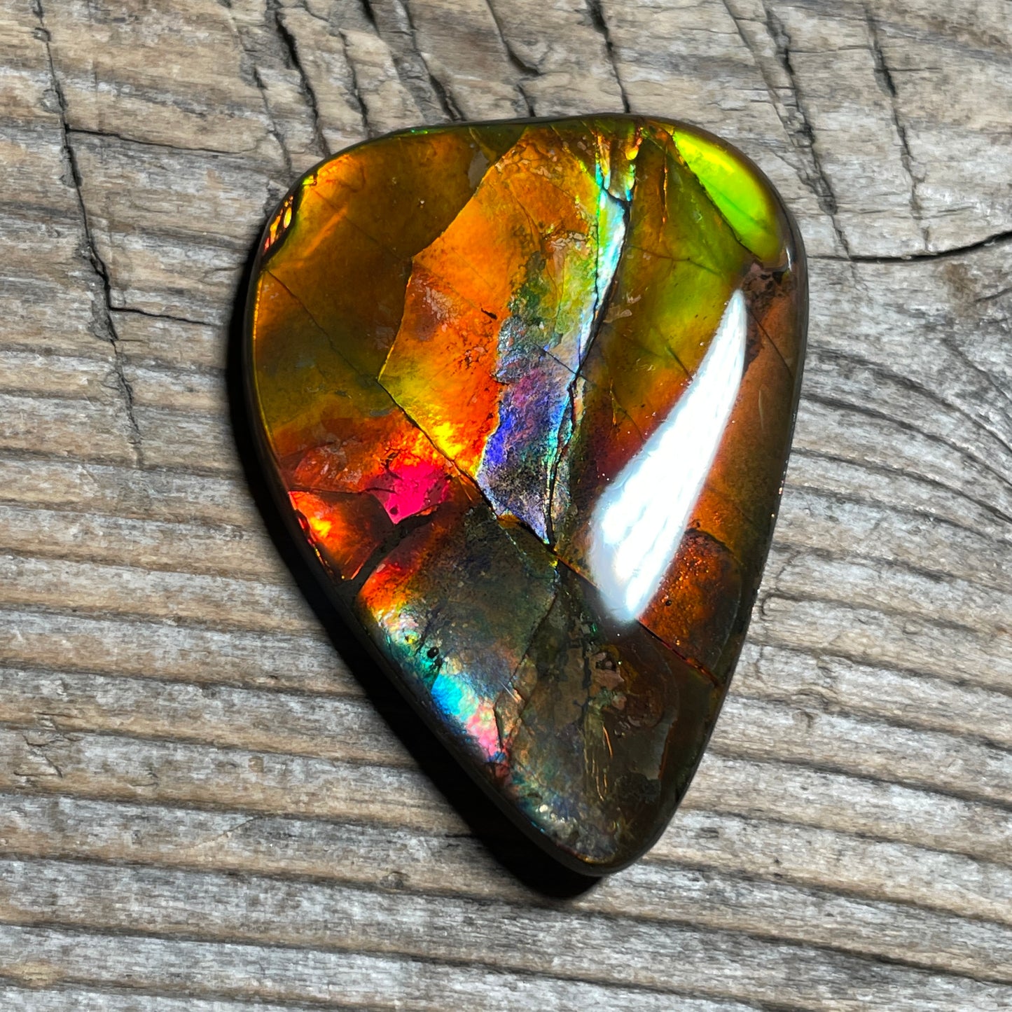 Multicoloured Pink Ammolite Gemstone, Freeform Cabochon, Canadian Ammonite Fossil