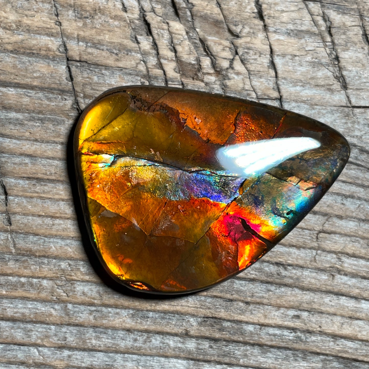 Multicoloured Pink Ammolite Gemstone, Freeform Cabochon, Canadian Ammonite Fossil