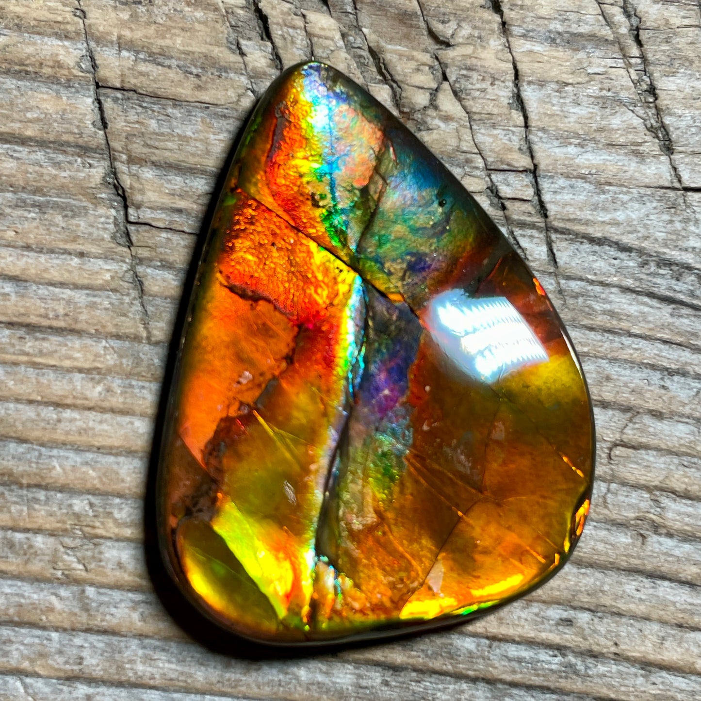 Multicoloured Pink Ammolite Gemstone, Freeform Cabochon, Canadian Ammonite Fossil