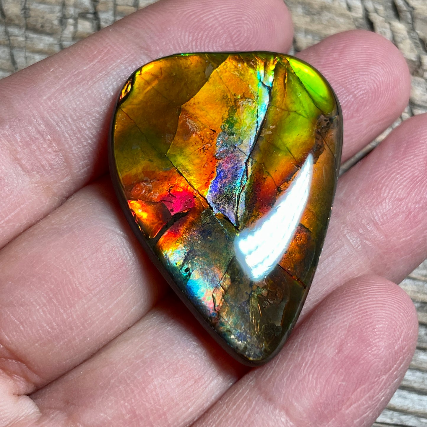 Multicoloured Pink Ammolite Gemstone, Freeform Cabochon, Canadian Ammonite Fossil