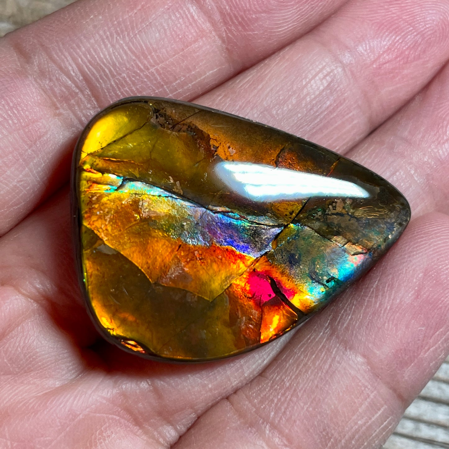 Multicoloured Pink Ammolite Gemstone, Freeform Cabochon, Canadian Ammonite Fossil