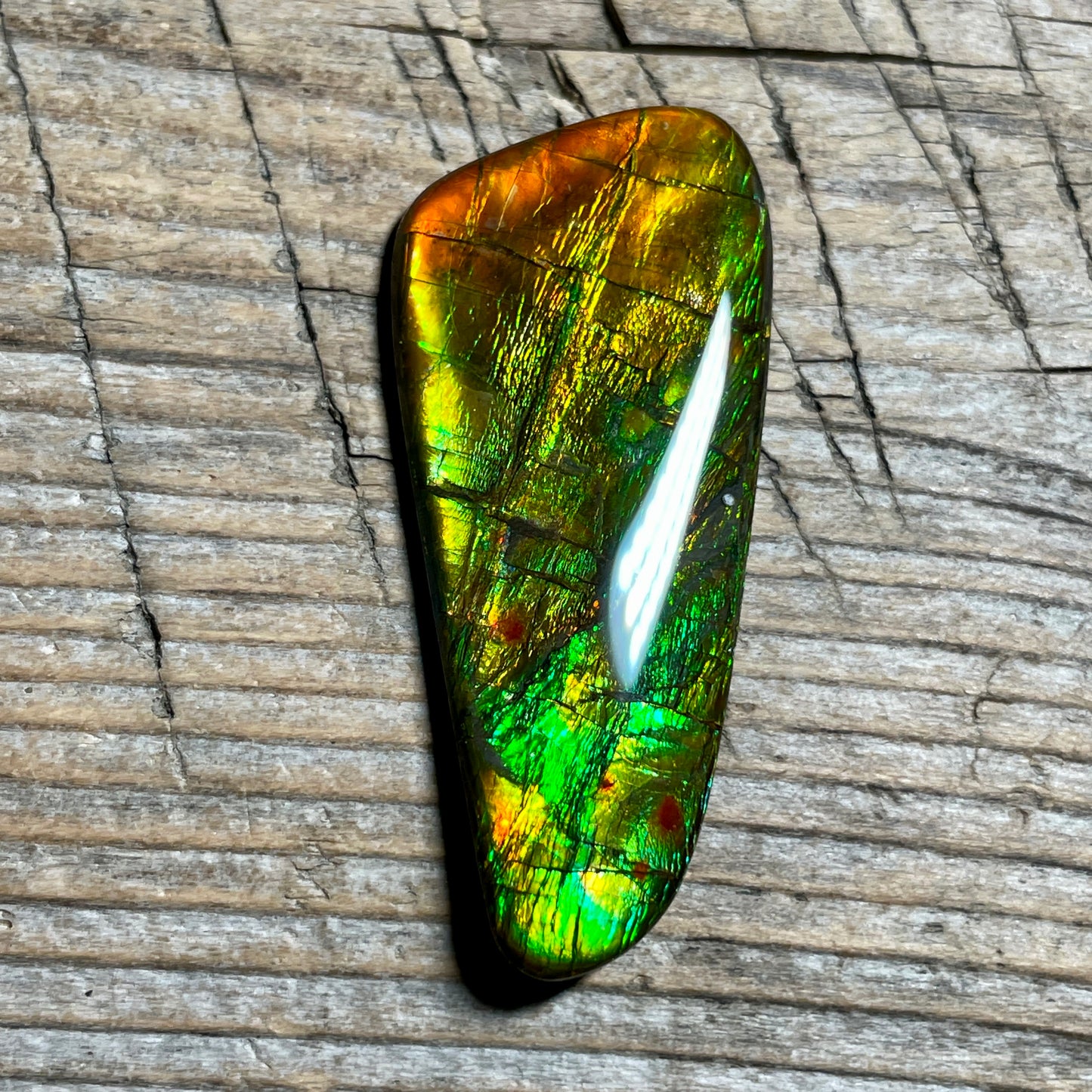 Bright Ammolite Cabochon, Genuine Canadian Ammonite Fossil Jewelry