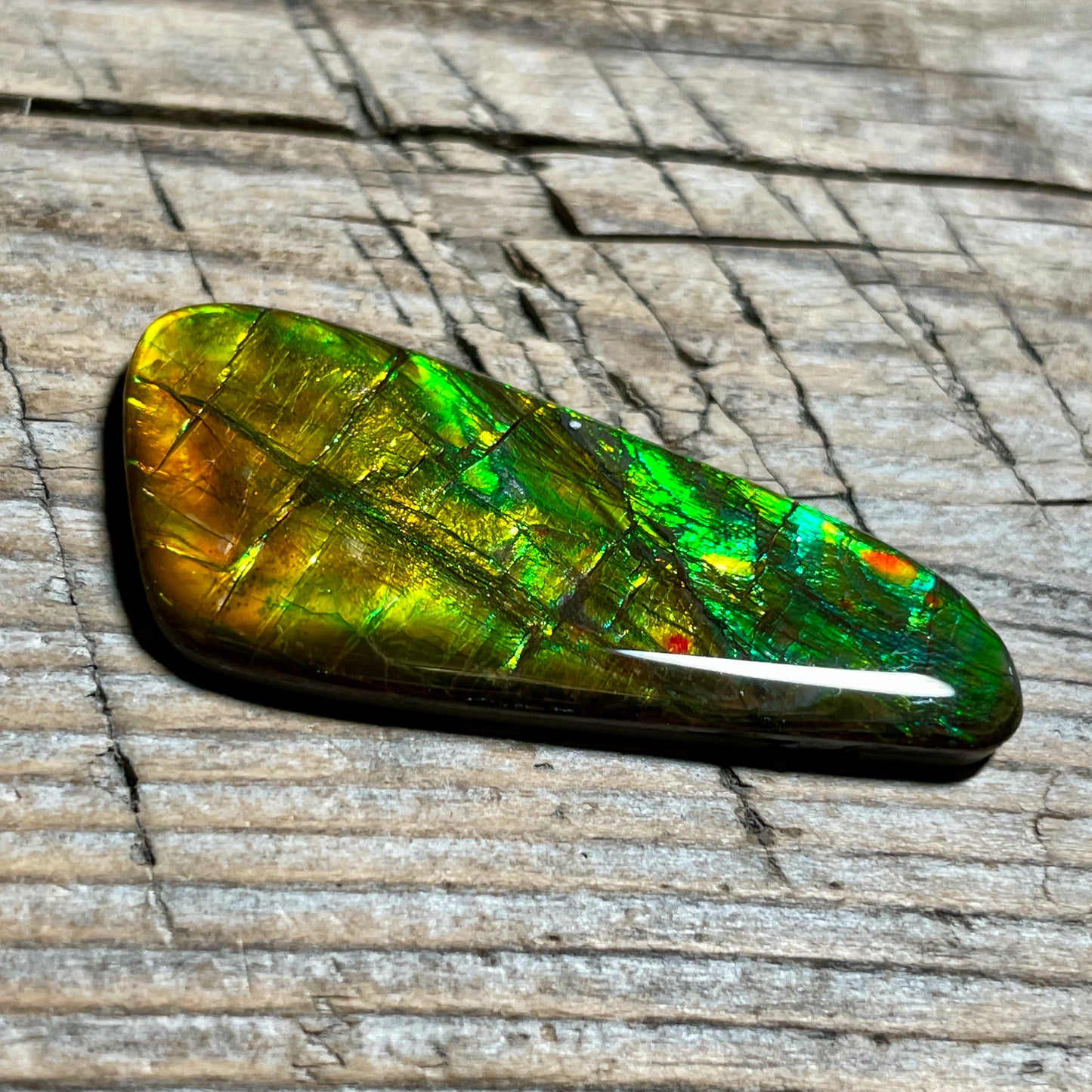 Bright Ammolite Cabochon, Genuine Canadian Ammonite Fossil Jewelry