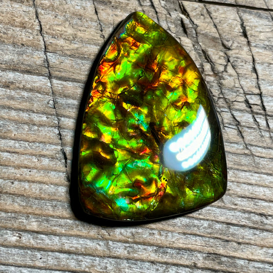 Green Gold Ammolite Cabochon, Genuine Canadian Ammonite Fossil Jewelry