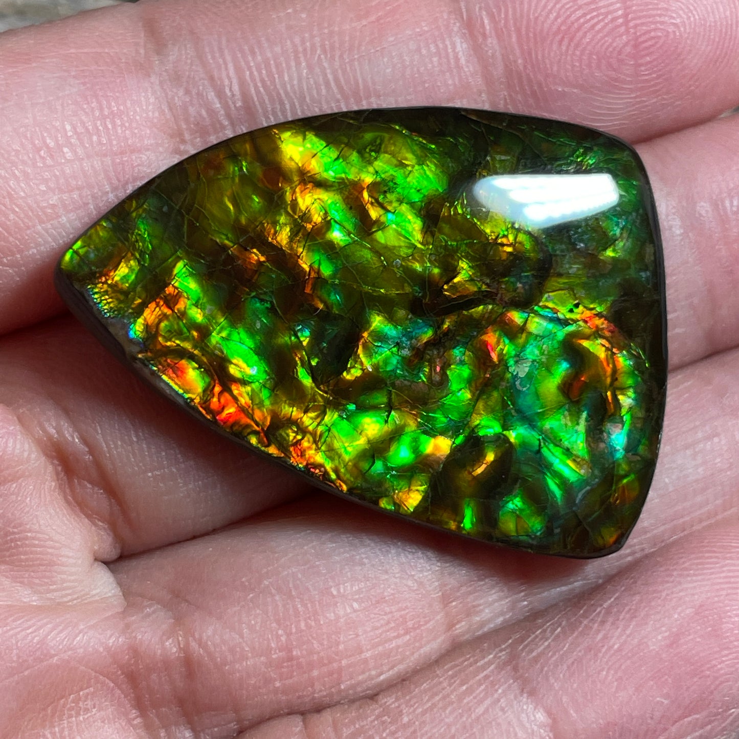 Green Gold Ammolite Cabochon, Genuine Canadian Ammonite Fossil Jewelry