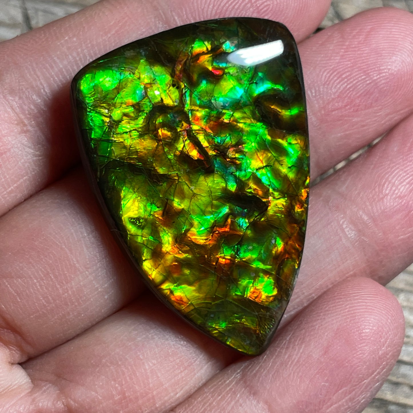 Green Gold Ammolite Cabochon, Genuine Canadian Ammonite Fossil Jewelry