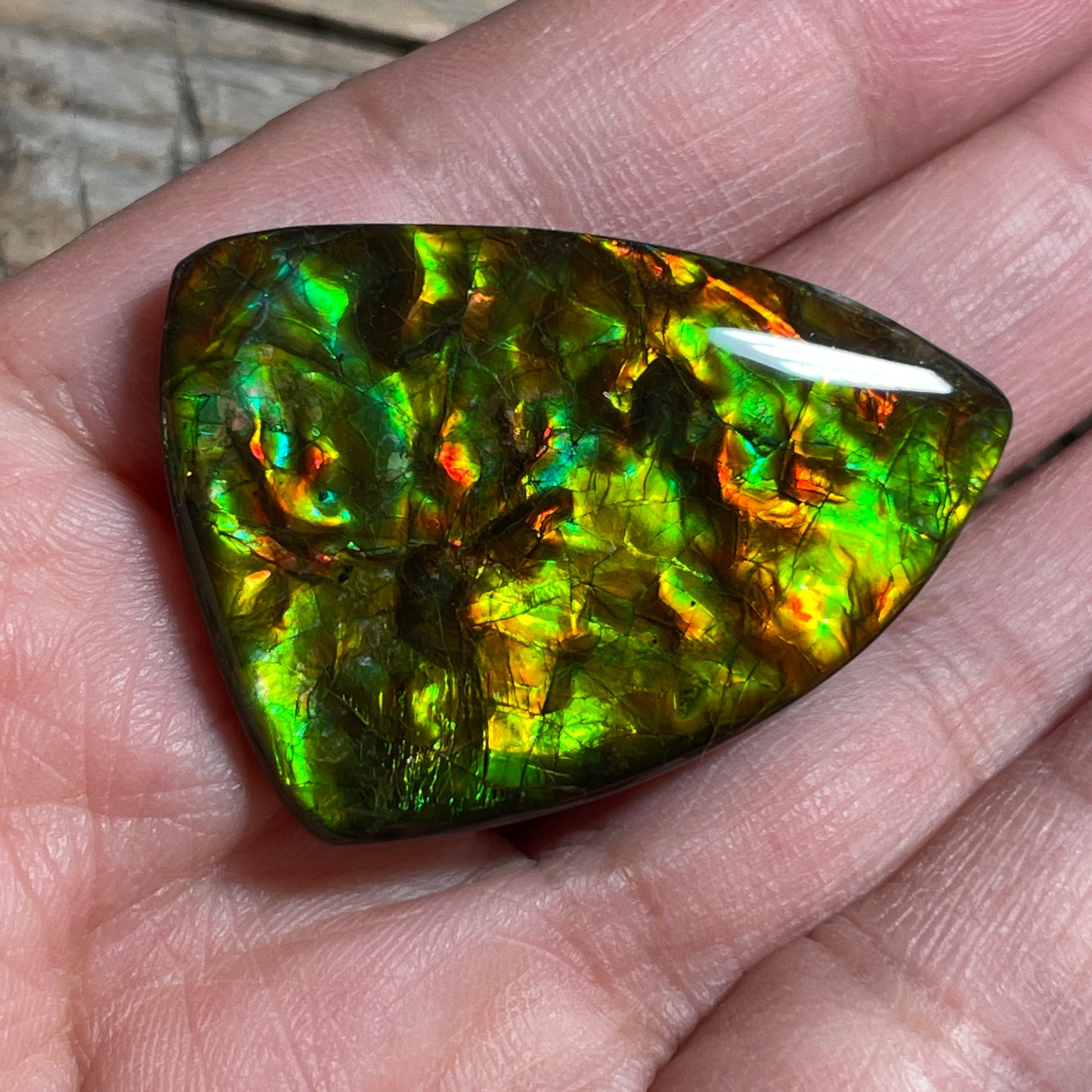 Green Gold Ammolite Cabochon, Genuine Canadian Ammonite Fossil Jewelry