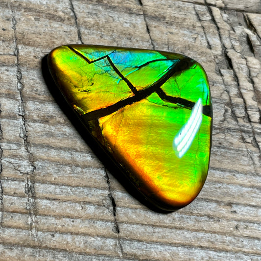 Ultra Bright Ammolite Cabochon, Genuine Canadian Ammonite Fossil Jewelry