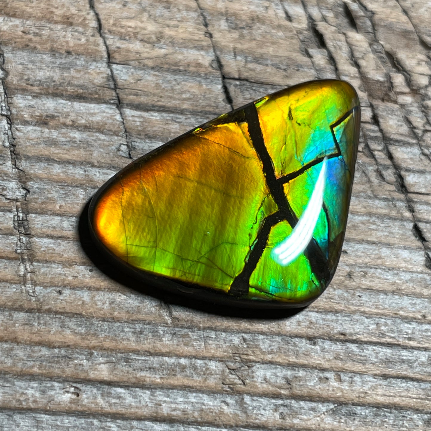 Ultra Bright Ammolite Cabochon, Genuine Canadian Ammonite Fossil Jewelry