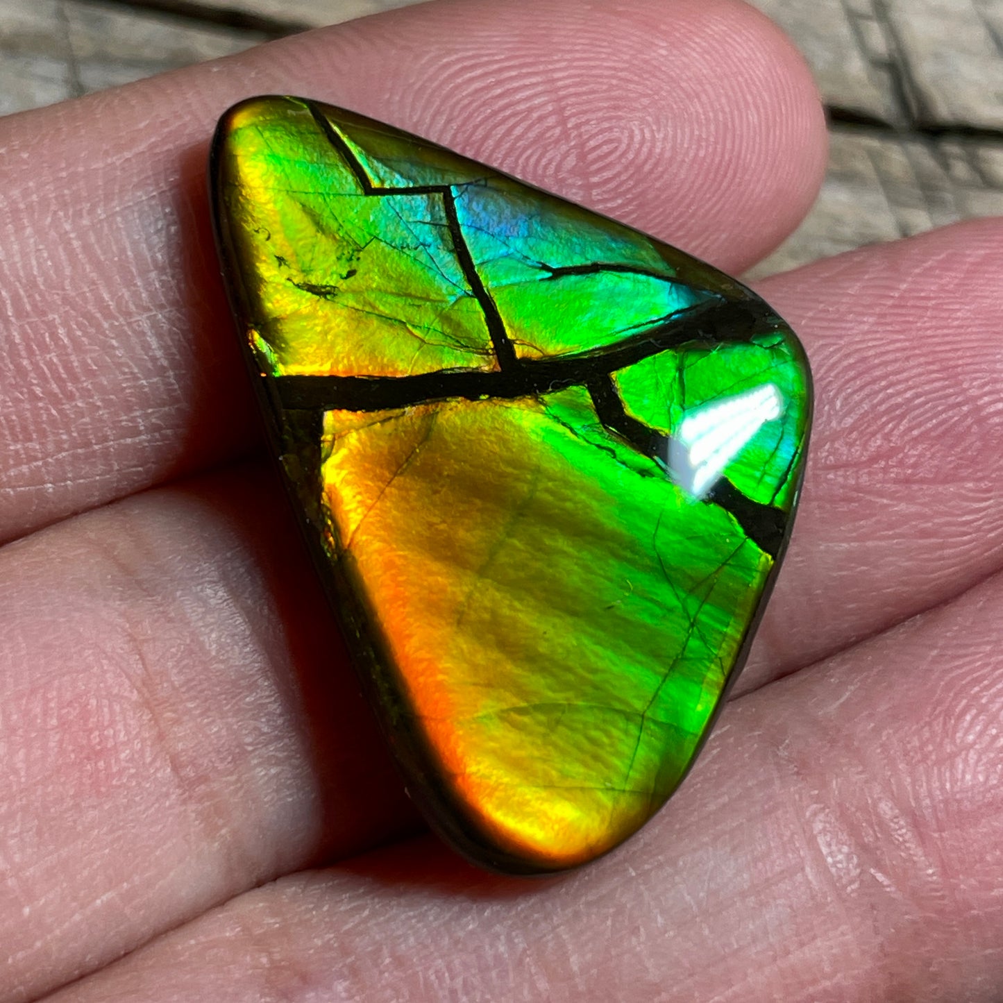 Ultra Bright Ammolite Cabochon, Genuine Canadian Ammonite Fossil Jewelry