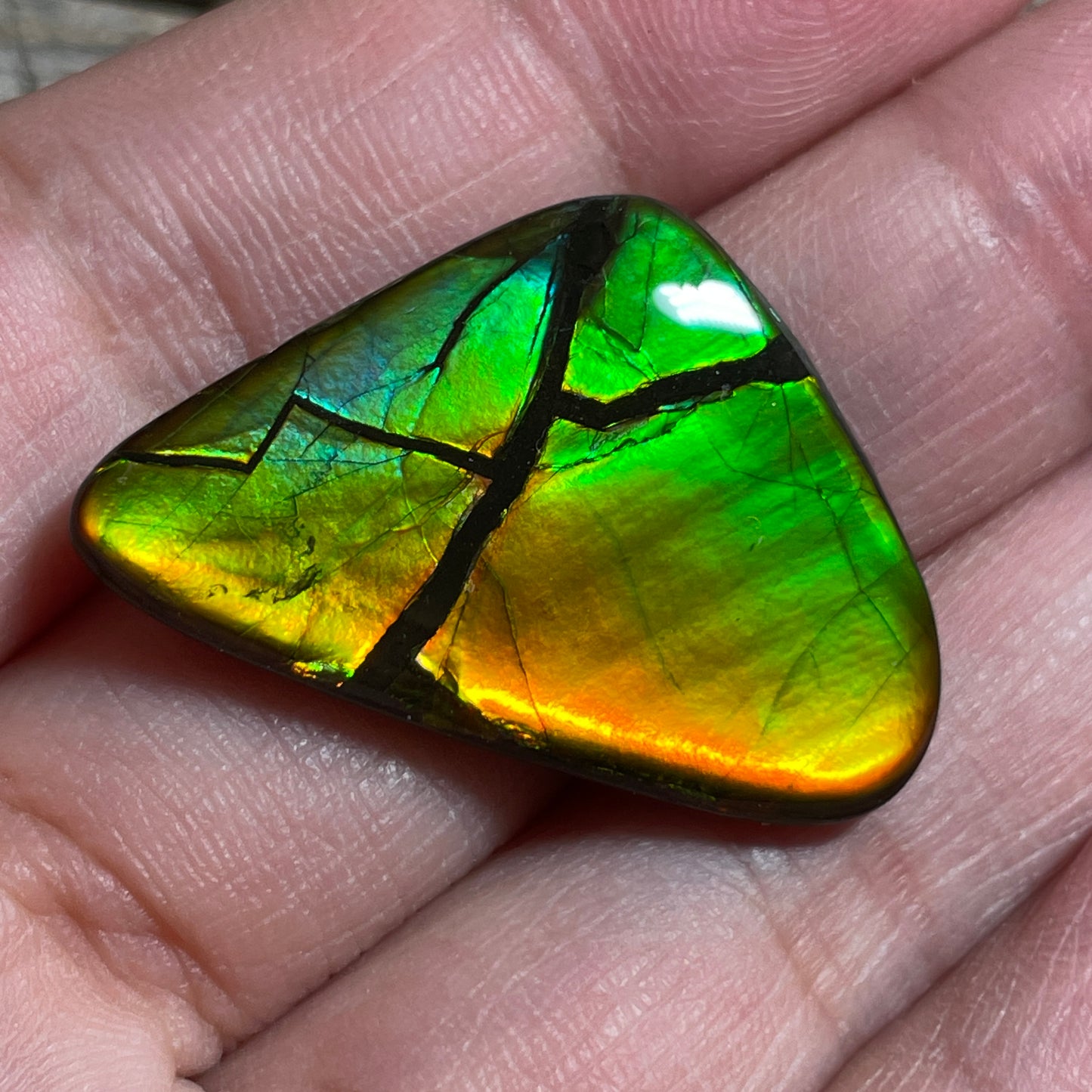 Ultra Bright Ammolite Cabochon, Genuine Canadian Ammonite Fossil Jewelry