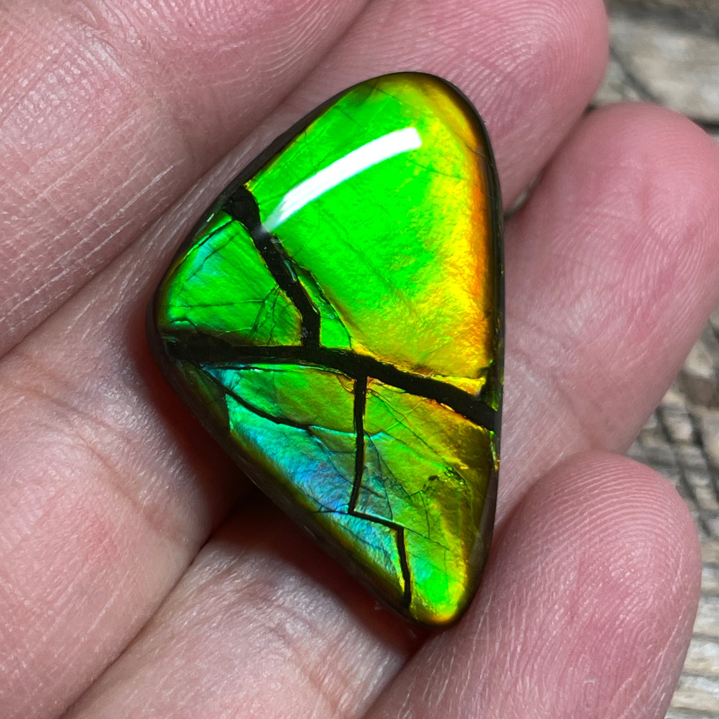 Ultra Bright Ammolite Cabochon, Genuine Canadian Ammonite Fossil Jewelry