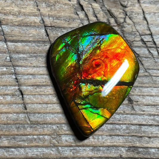 Ammolite Cabochon With Unique Pattern, Multicoloured, Genuine Alberta Ammonite Fossil