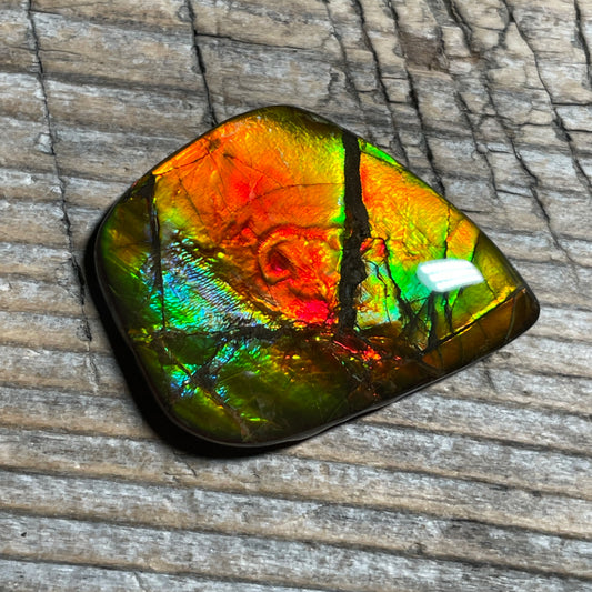 Ammolite Cabochon With Unique Pattern, Multicoloured, Genuine Alberta Ammonite Fossil