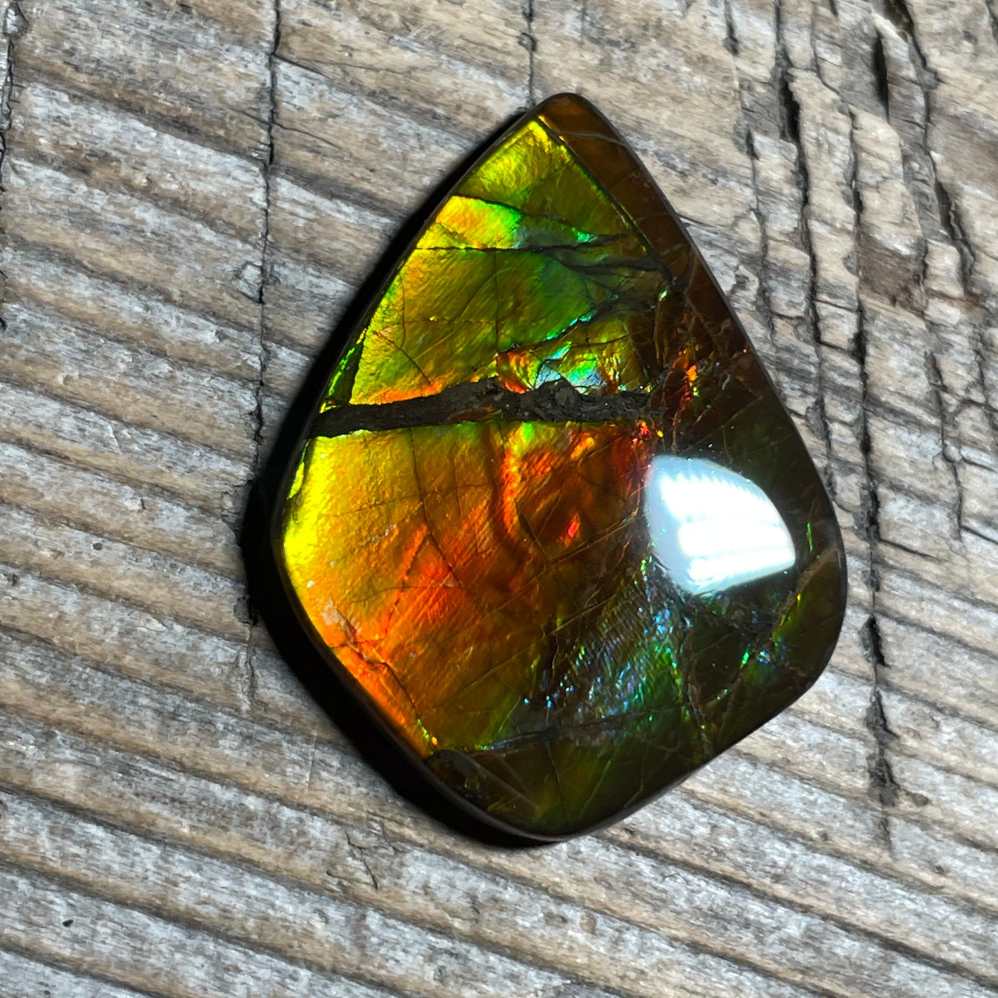 Ammolite Cabochon With Unique Pattern, Multicoloured, Genuine Alberta Ammonite Fossil