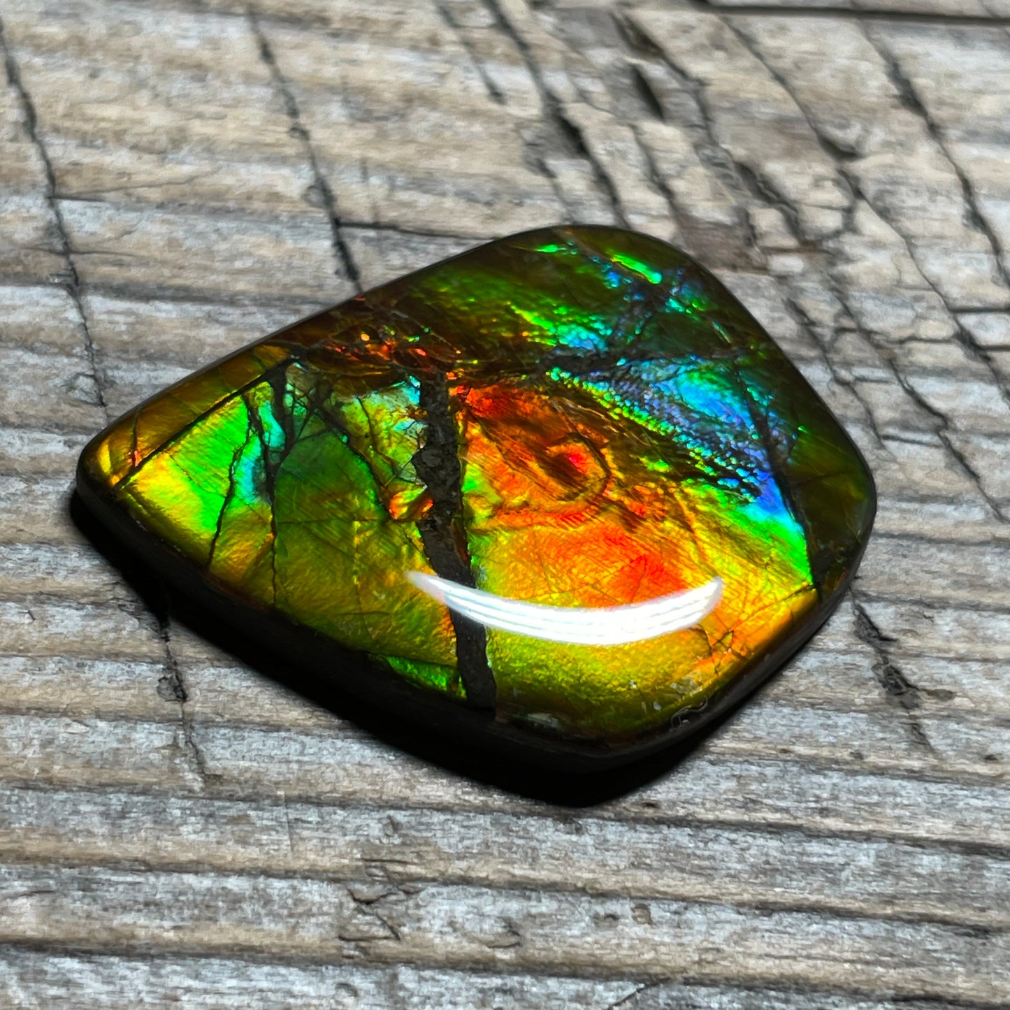 Ammolite Cabochon With Unique Pattern, Multicoloured, Genuine Alberta Ammonite Fossil