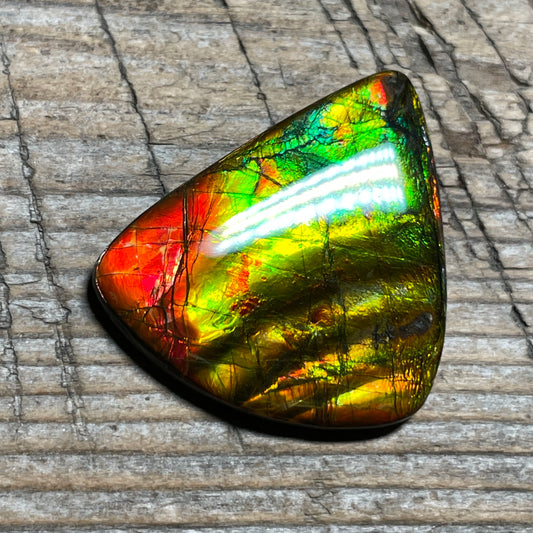 Multicoloured Ammolite Cabochon, Genuine Canadian Ammonite Fossil Jewelry