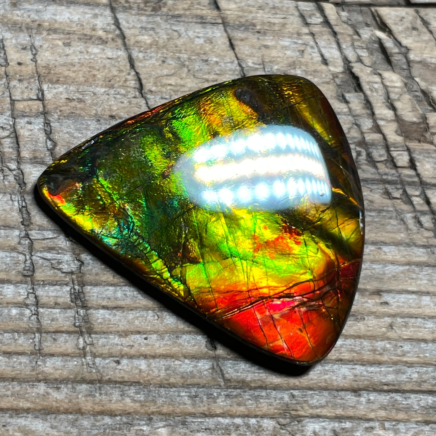 Multicoloured Ammolite Cabochon, Genuine Canadian Ammonite Fossil Jewelry