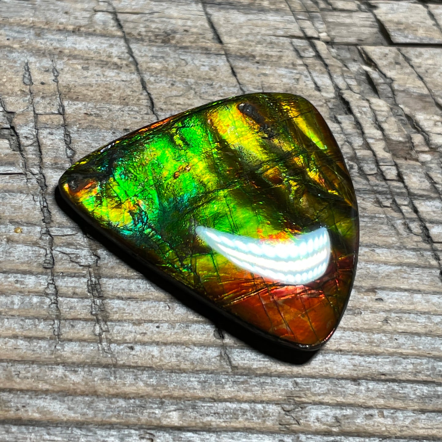 Multicoloured Ammolite Cabochon, Genuine Canadian Ammonite Fossil Jewelry