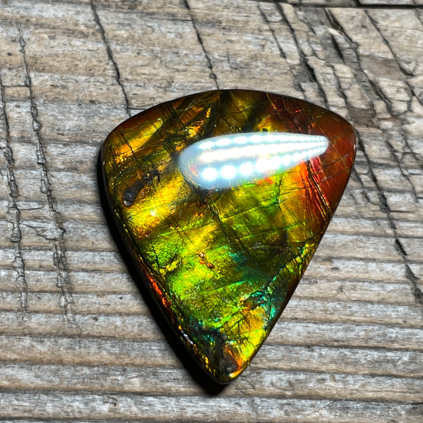 Multicoloured Ammolite Cabochon, Genuine Canadian Ammonite Fossil Jewelry