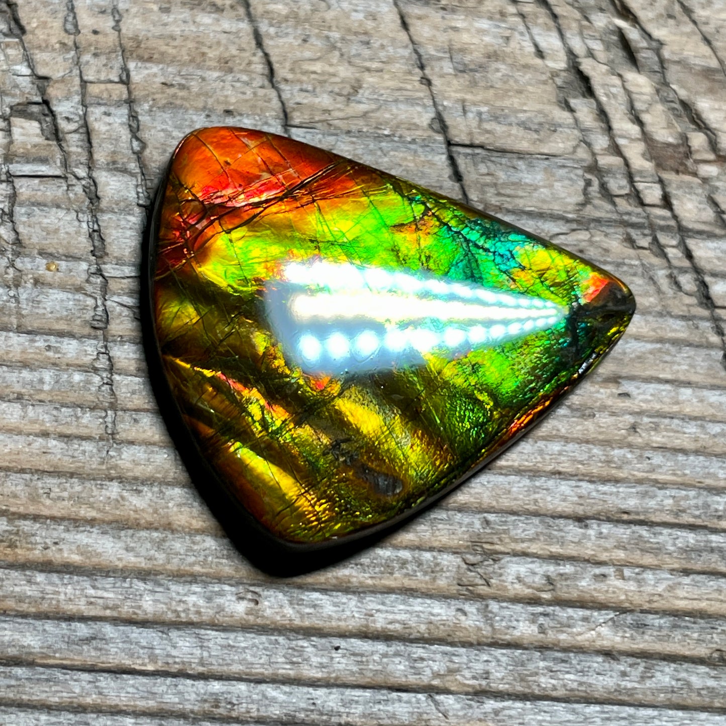 Multicoloured Ammolite Cabochon, Genuine Canadian Ammonite Fossil Jewelry